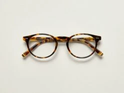 FRANKIE 40 FRANKIE -Fashion Optical Shop frankie color classic havana pos 2
