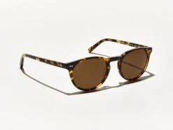 FRANKIE SUN 21 FRANKIE SUN -Fashion Optical Shop frankie sun color classic havana pos 1